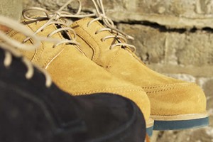 Pointer Holden Suede Shoe